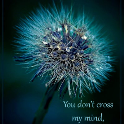 You don't cross ...