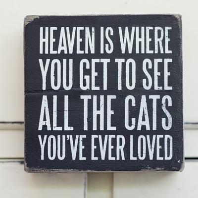 All The Cats... Box Sign