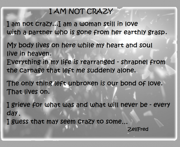 I Am Not Crazy I Am Not Crazy