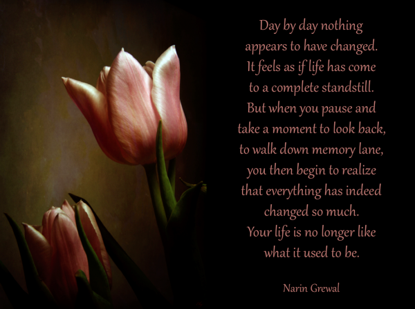 Day by day nothings appears ... Day by day nothings appears ...