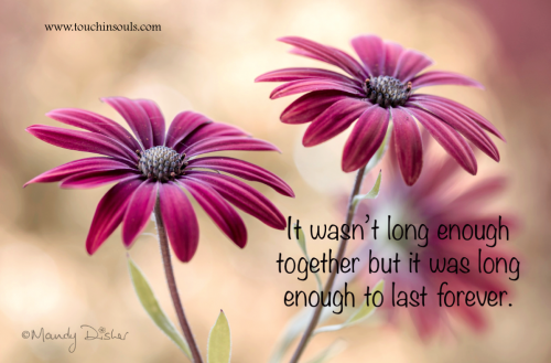 It wasn't long enough ... It wasn't long enough ...