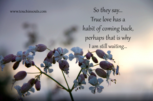 So they say ... So they say ...