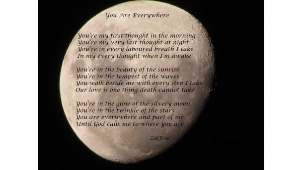 You Are Everywhere You Are Everywhere