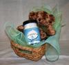 Gift Basket Bear and Conversation Cards