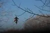 RobertBrummett